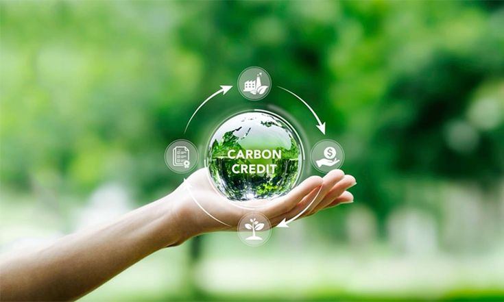 Development of Carbon Credit Projects